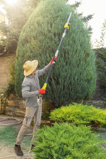 Lawn Watering Services in Ault, CO